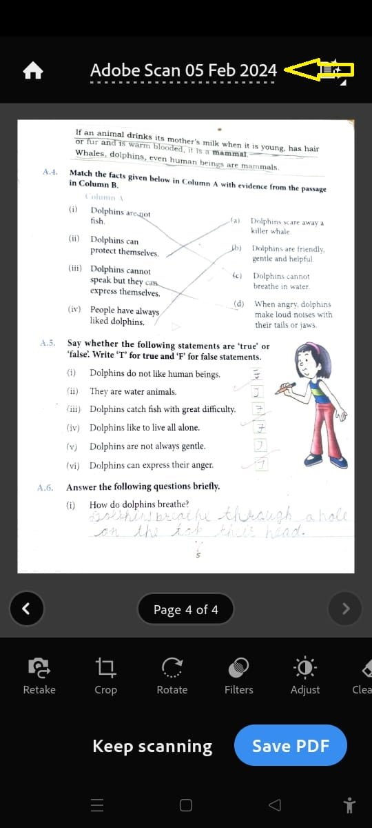 Document Scan