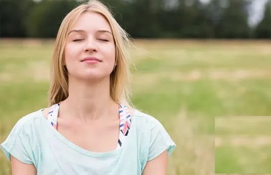 mind fresh 