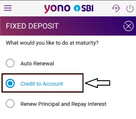 sbi fd