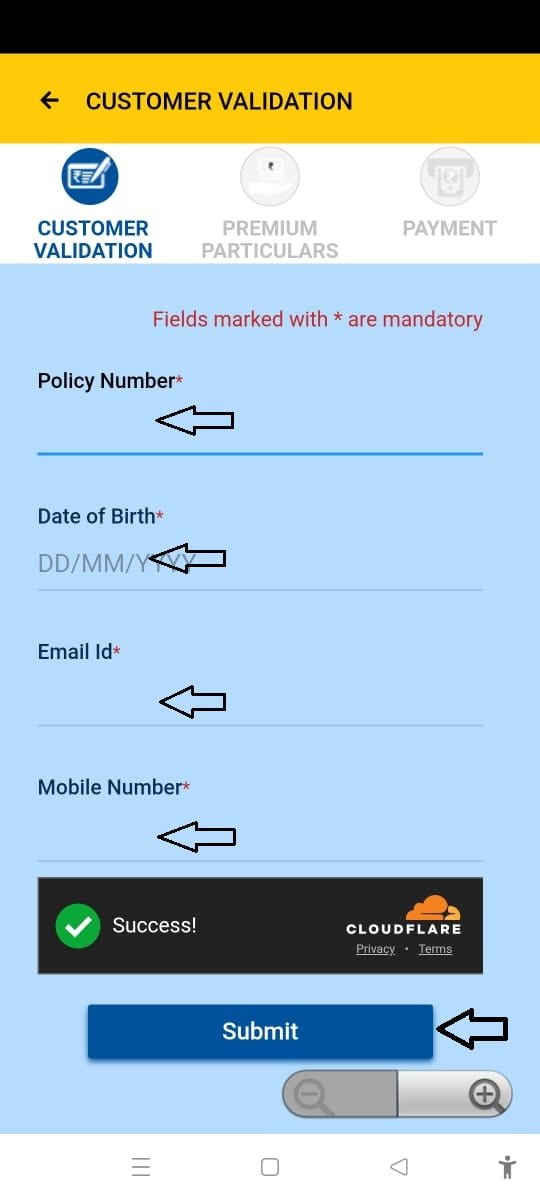 lic app filled details