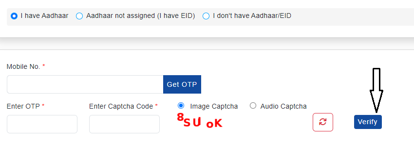scholarship application form