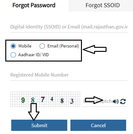 SSO ID Forgot 