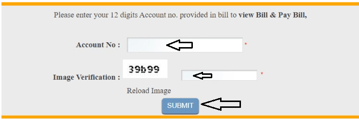 Bijli Bill Online Check