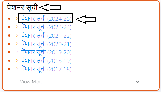 Vidhwa Pension List Online