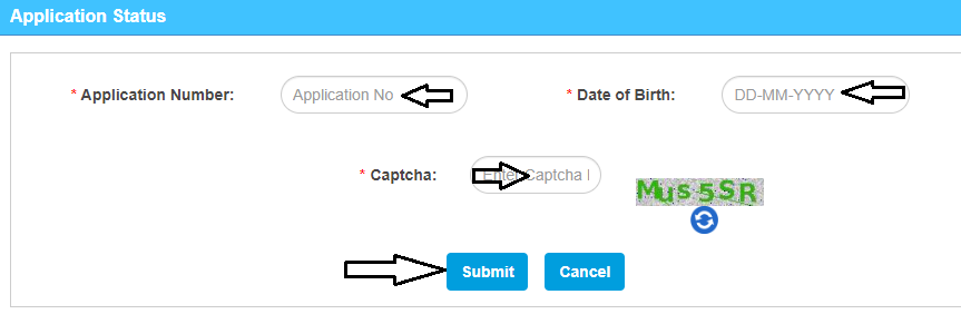 License Status Online