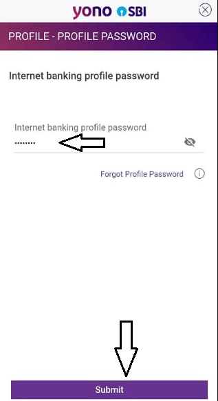 Internet banking profile password