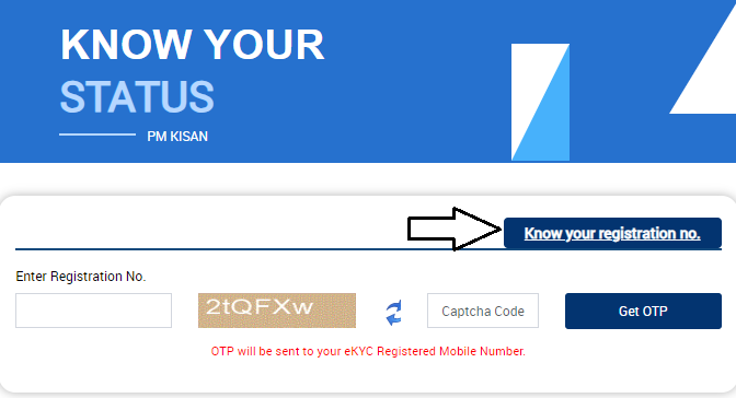 PM Kisan Status Check
