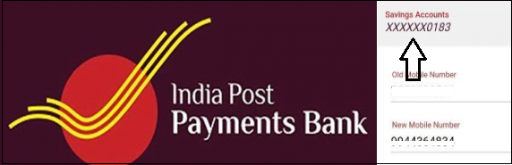 IPPB Account Number