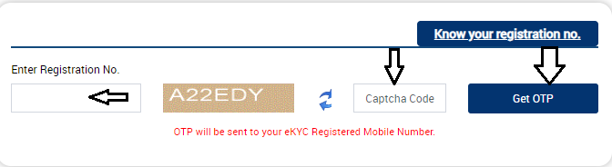 Check PM Kisan Status