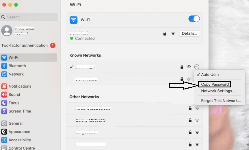 Macbook WIFI Password Pata kare