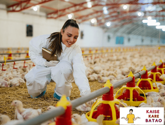 Poultry Farm Loan Yojana