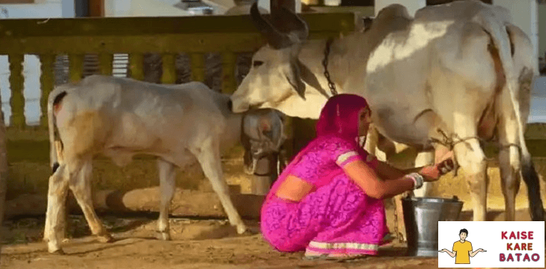 Pashupalak Samman