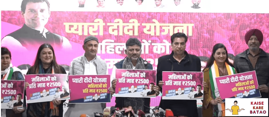 Delhi Pyari Didi