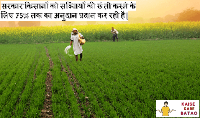 Sabji Vikas Yojana