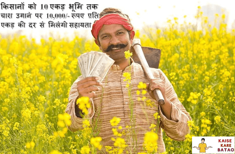Haryana Chara Bijai 
