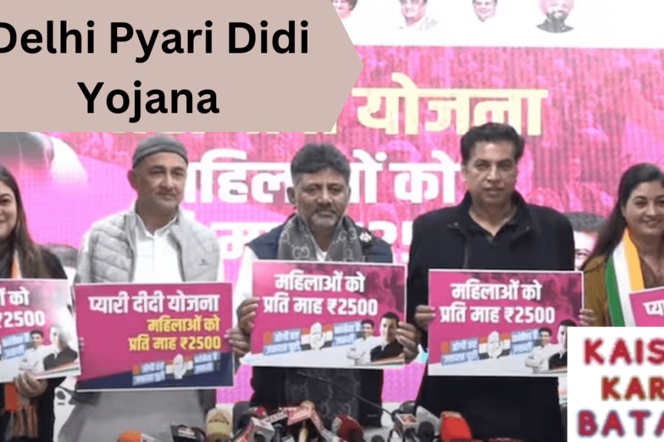 Delhi Pyari Didi